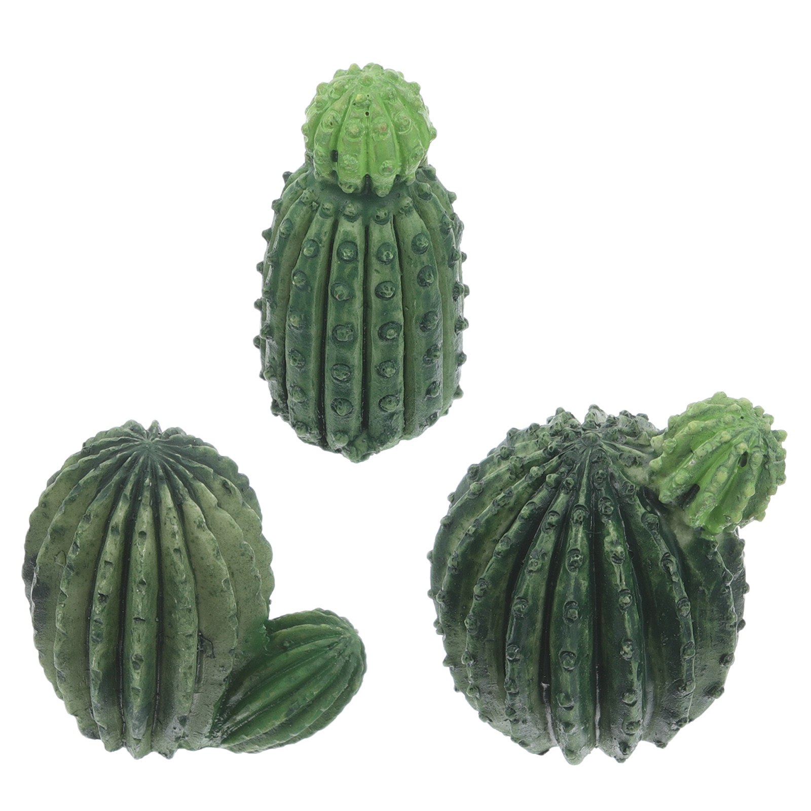 Succulent Set - Набор миниатюрных суккулентов и кактусов из
