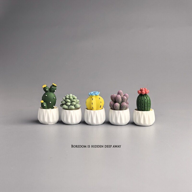 Succulent Set - Миниатюрное растение в горшке: кактус/суккулент, украшение