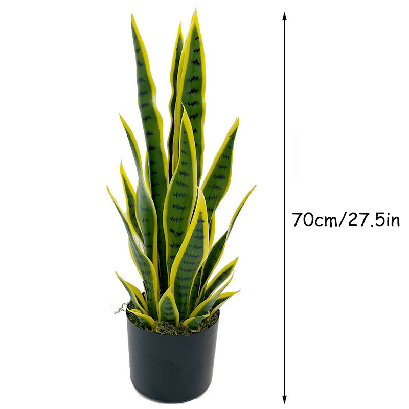 Искусственная сансевиерия (плю – обзор и цена Snake Plant