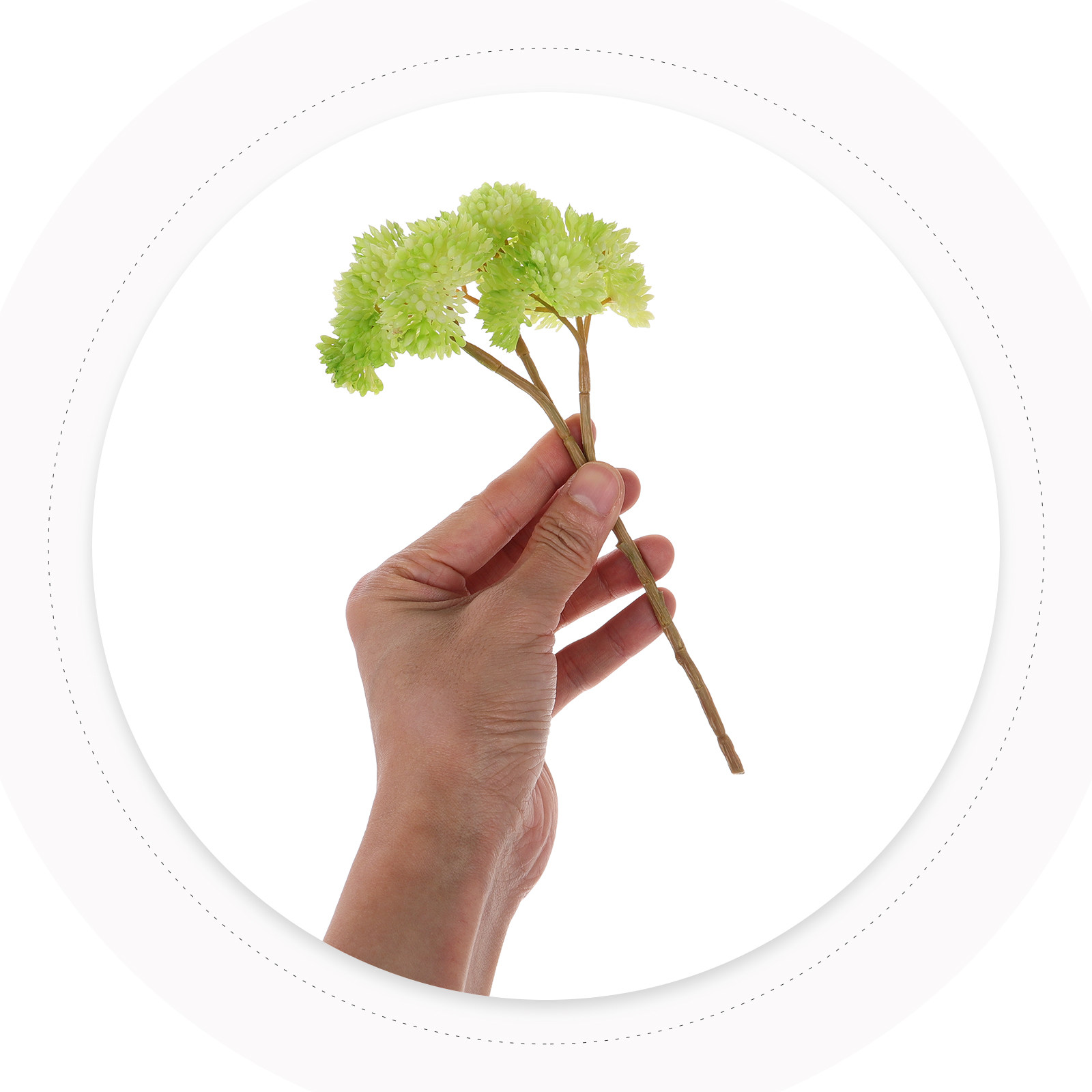 Искусственные суккуленты: реал – обзор и цена Indoor Plants
