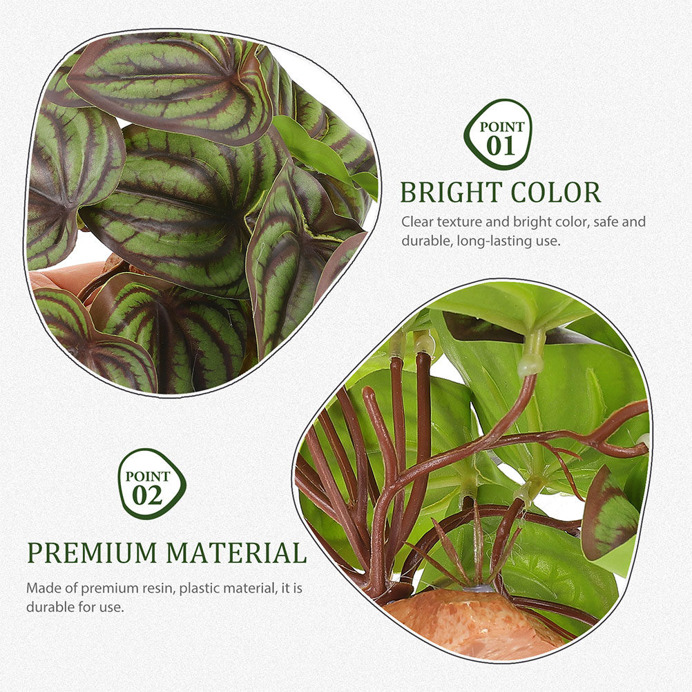 Высококачественные искусственн – обзор и цена Snake Plant