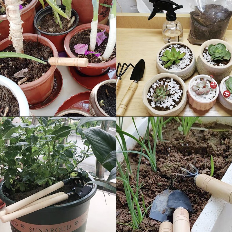 3 шт./1 компл. мини-набор садо – обзор и цена Indoor Plants