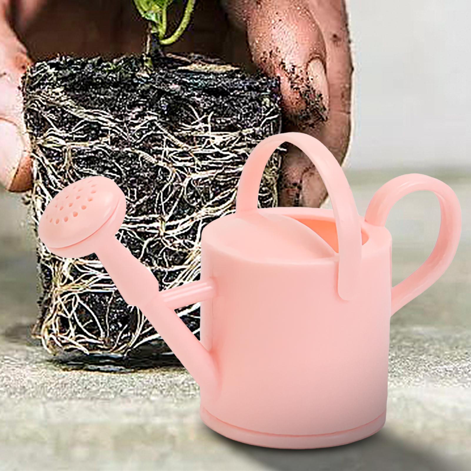 Детская лейка для полива цвето – обзор и цена Succulent Set