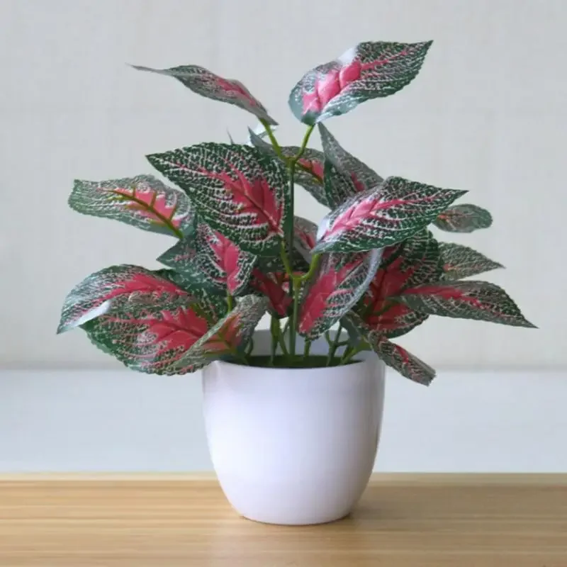 Искусственные растения, бонсай – обзор и цена Snake Plant