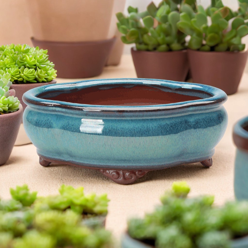 Керамический сочный цветочный  – обзор и цена Succulent Set